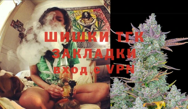 прущие крисы Балахна