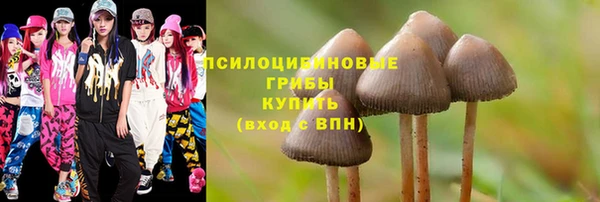 прущие крисы Балахна