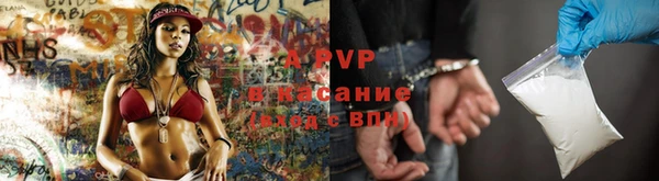прущие крисы Балахна