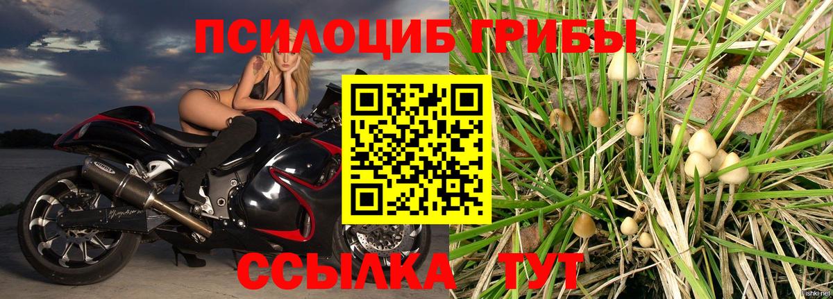 Галлюциногенные грибы Magic Shrooms  Вход с VPN  Белово  Псилоцибиновые грибы Psilocybe 
